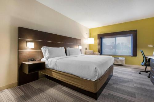 a hotel room with a large bed and a window at Holiday Inn Express & Suites Chicago West - St Charles by IHG in Saint Charles