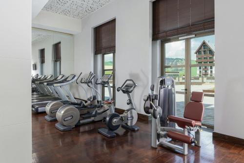 Fitness centrum a/nebo fitness zařízení v ubytování Pik Palace, Shahdag, Autograph Collection