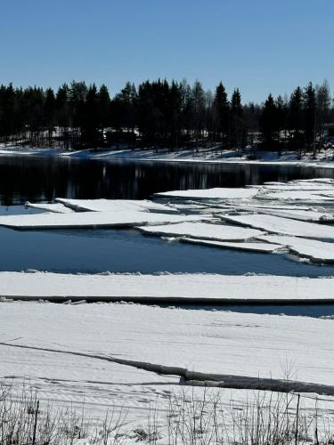 a river covered in snow with trees in the background at Aava Riverside in Rovaniemi