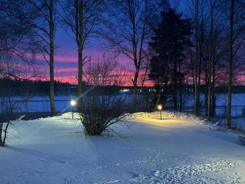 a winter sunset with snow and trees and lights at Aava Riverside in Rovaniemi