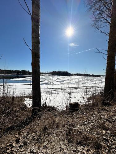 a snow covered field with the sun behind two trees at Aava Riverside in Rovaniemi