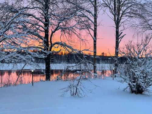 a snow covered field with trees and a sunset at Aava Riverside in Rovaniemi