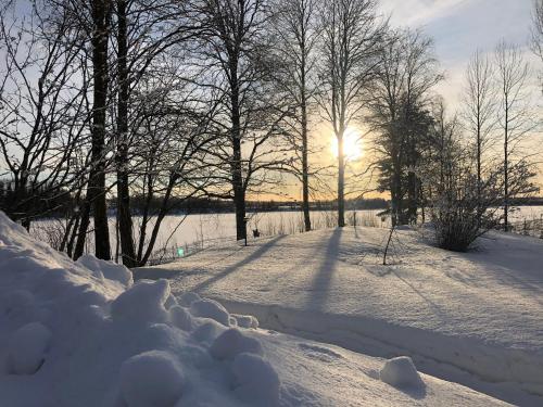 a snow covered field with the sun shining through the trees at Aava Riverside in Rovaniemi