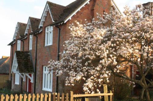 a flowering tree in front of a brick house at Leygreen Farmhouse B&B in Beaulieu
