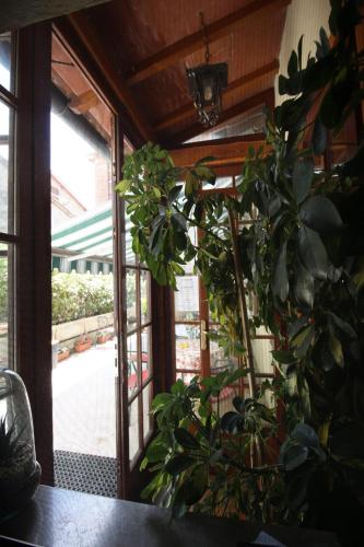 Κήπος έξω από το La Foresteria dell'Aia