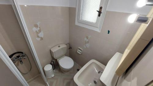 a small bathroom with a toilet and a sink at SERENITY Apartments 1 in Vathi, Ithaka