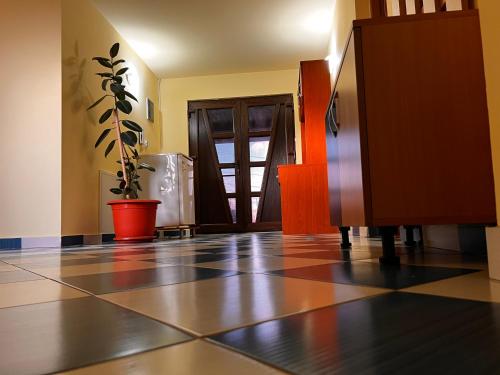 a hallway with a potted plant and a door at Vila Ovi Salin in Turda