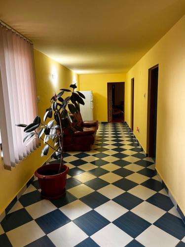 a living room with a potted plant and a checkered floor at Vila Ovi Salin in Turda