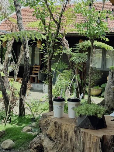 Zahrada ubytování Nhà Nghỉ Huyền Măng Đen