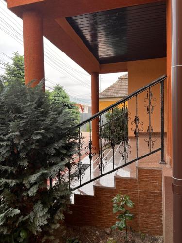 a balcony with a black railing and a staircase at Vila Ovi Salin in Turda
