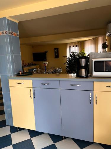 a kitchen with a counter top with a microwave at Vila Ovi Salin in Turda