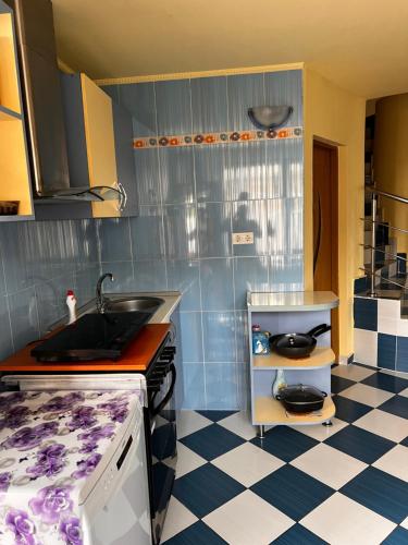 a kitchen with a sink and a counter top at Vila Ovi Salin in Turda