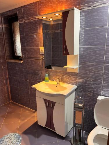 a bathroom with a sink and a mirror and a toilet at Vila Ovi Salin in Turda