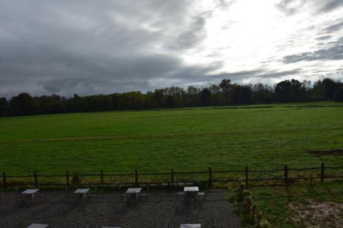 a row of benches in a field with a fence at La Locanda della Mandria in Venaria Reale
