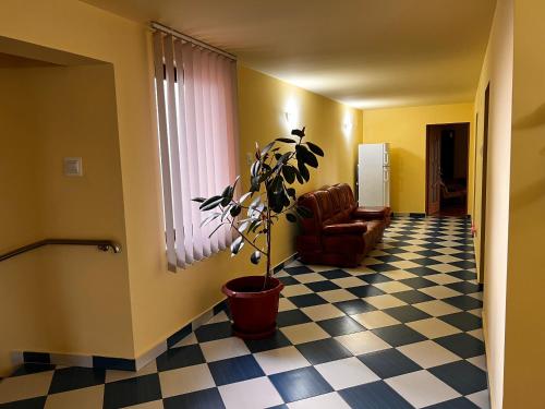 a living room with a potted plant and a chair at Vila Ovi Salin in Turda