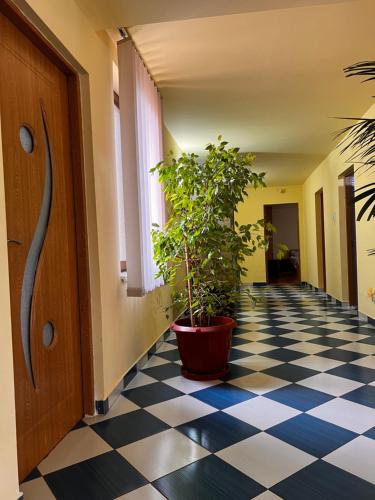 a hallway with a potted plant on a checkered floor at Vila Ovi Salin in Turda