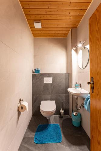 a bathroom with a toilet and a sink at Adlerhof in Samerberg