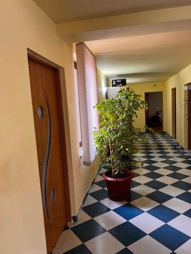 a hallway with a potted plant on a checkered floor at Vila Ovi Salin in Turda