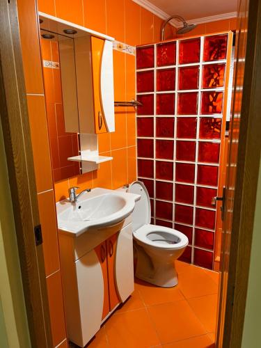 a bathroom with a toilet and a sink at Vila Ovi Salin in Turda