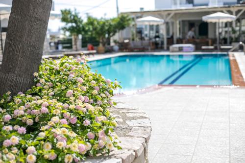 a swimming pool with pink flowers next to a tree at Olevia Comfort in Faliraki