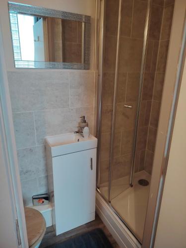 a bathroom with a shower and a toilet and a sink at The Wheatsheaf in Salisbury