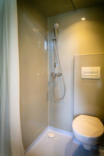 un bagno con doccia, WC e tenda da doccia di Cabane à Mémé a Cosnac