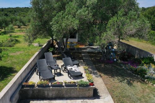an aerial view of a backyard with chairs and a tree at House Ana in Banj
