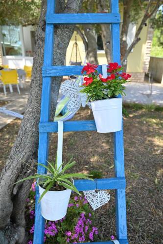 a blue ladder with two potted plants on it at House Ana in Banj