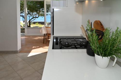 a kitchen with a white refrigerator with a plant in at House Ana in Banj