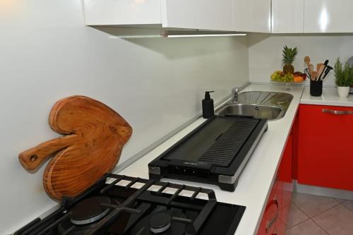 a kitchen with a stove and a sink and a counter at House Ana in Banj