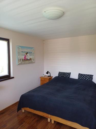 a bedroom with a blue bed and a window at Villa Villekulla in Chukovezer