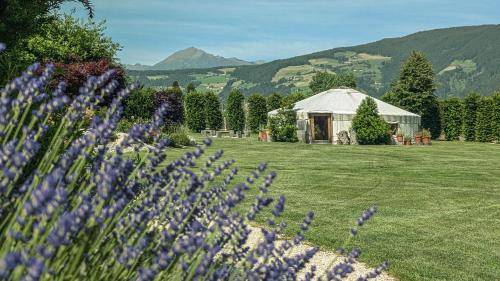 a field with purple flowers in front of a gazebo at Hotel Sun in Naz-Sciaves