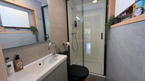 Koupelna v ubytování Sfeervol chalet de Dassenburcht
