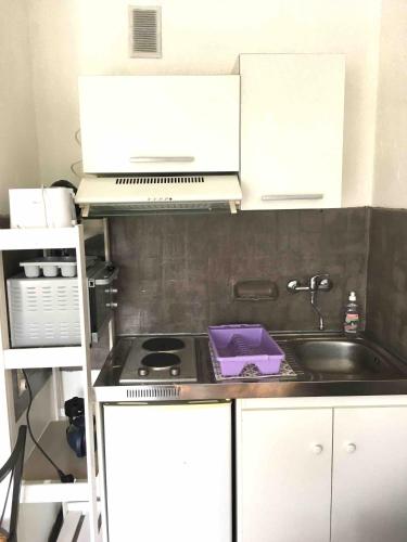 une cuisine avec une cuisinière et un évier dans l'établissement Studio PLEUMEUR, à Chambéry