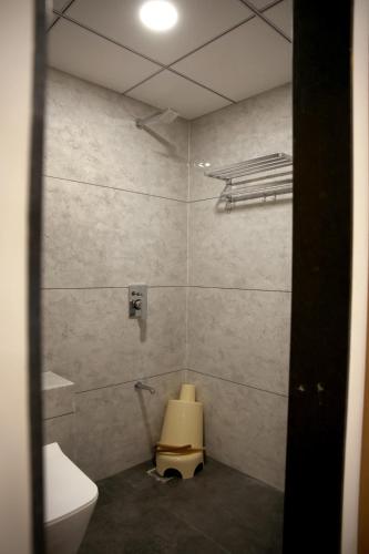 Hotel The Grand Shivaにあるバスルーム