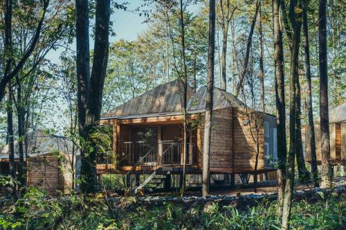 a wooden cabin in the woods with trees at SANU 2nd Home 八ヶ岳 3rd in Nagasawa