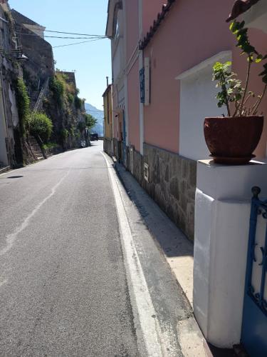 an empty street with a potted plant on a wall at Relais Zio Vincenzo Casa Positano in Positano