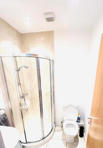 a bathroom with a shower and a toilet at Seaview Hideway - Abnb in Portstewart