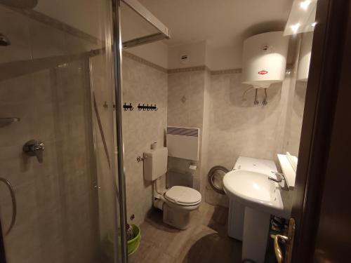 une salle de bain avec une douche, des toilettes et un lavabo dans l'établissement Duplex 3* pour 4 pers - Centre village, à 100m des pistes - Confort et charme - FR-1-445-129, à Montgenèvre