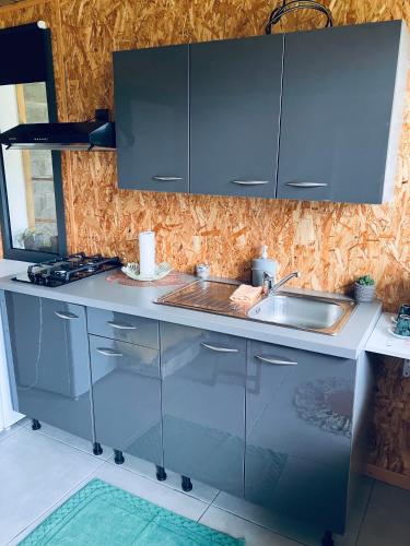 a kitchen with stainless steel cabinets and a sink at Studio Le Prunier in La Plaine des Cafres