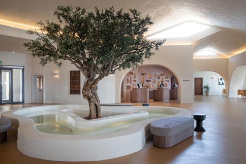 a tree in a room with a table and chairs at Mangia's Sardinia Resort - NEW OPENING in Santa Teresa Gallura