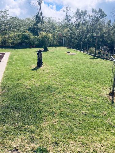 a tree stump sitting in the middle of a field at Studio Le Prunier in La Plaine des Cafres
