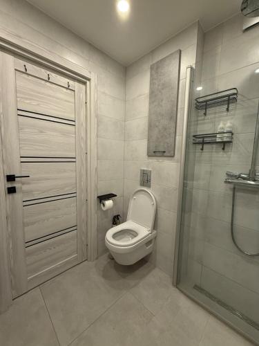 a bathroom with a toilet and a shower at New modern apartments in the centre in Narva