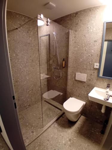 a bathroom with a shower and a toilet and a sink at Chmelnice na stezce in Napajedla