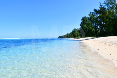 a beach with clear blue water and trees on it at Villa Philibert in Riambel
