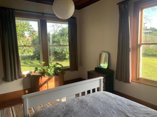 a bedroom with a bed and two windows and a television at Havelock North Cottage on Organic Orchard in Havelock North