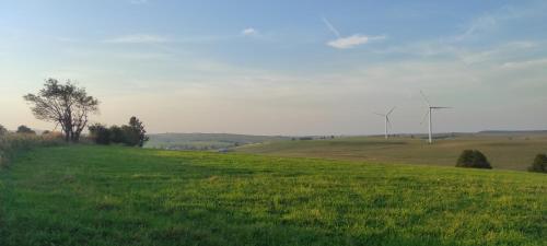 a field of green grass with two wind turbines at Horský penzion in Teplice