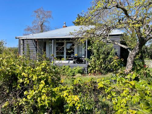 a house with a tree in front of it at Havelock North Cottage on Organic Orchard in Havelock North