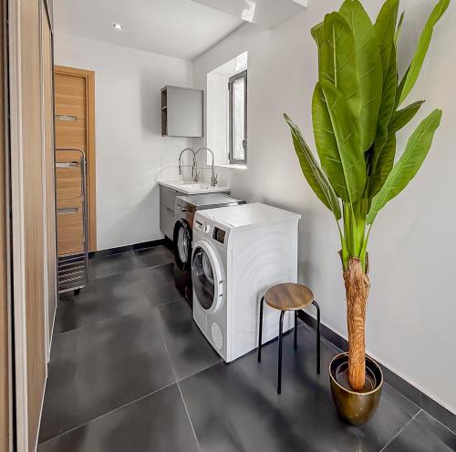 a laundry room with a washing machine and a plant at Villa avec jacuzzi, sauna&cinéma in Triel-sur-Seine