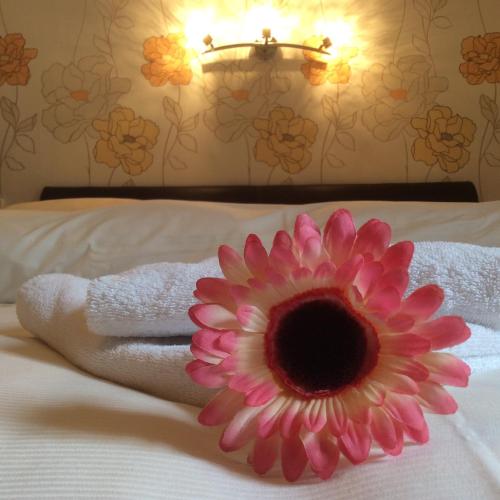 a pink flower sitting on top of a bed at Bed & Breakfast du Château in Vianden
